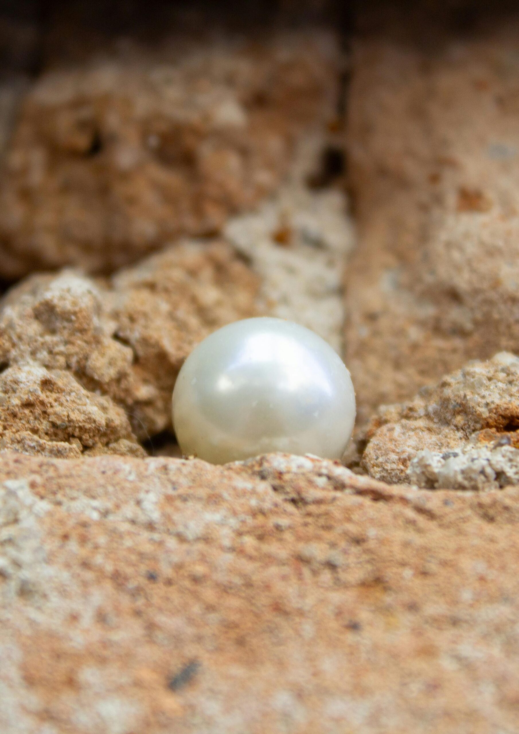 A solitary pearl rests elegantly on a textured stone backdrop, showcasing natural beauty.